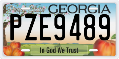 GA license plate PZE9489