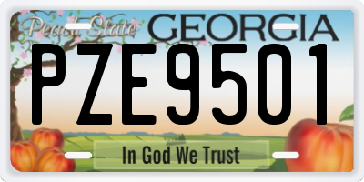 GA license plate PZE9501