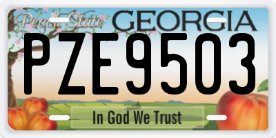 GA license plate PZE9503