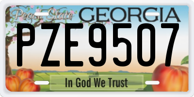 GA license plate PZE9507