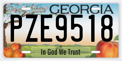 GA license plate PZE9518