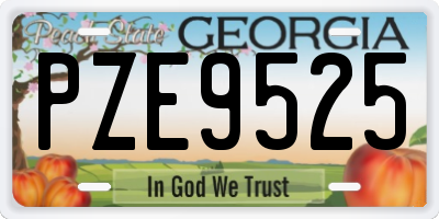 GA license plate PZE9525
