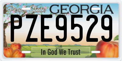 GA license plate PZE9529
