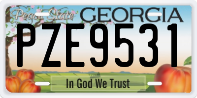 GA license plate PZE9531