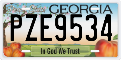 GA license plate PZE9534