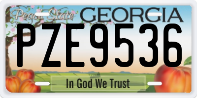 GA license plate PZE9536