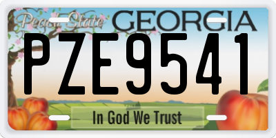 GA license plate PZE9541