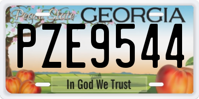 GA license plate PZE9544
