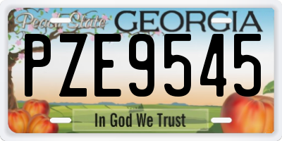 GA license plate PZE9545