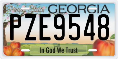 GA license plate PZE9548