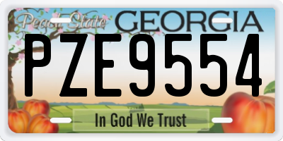 GA license plate PZE9554