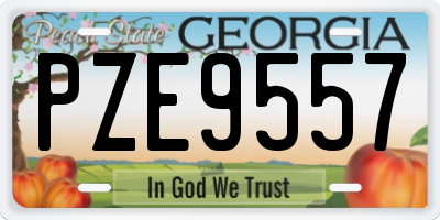 GA license plate PZE9557