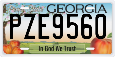 GA license plate PZE9560