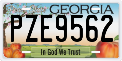 GA license plate PZE9562