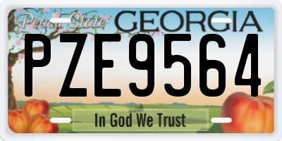GA license plate PZE9564