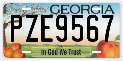 GA license plate PZE9567