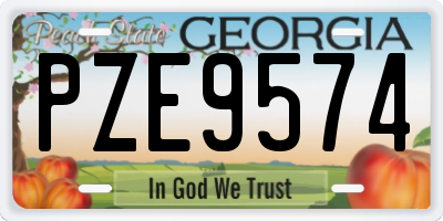 GA license plate PZE9574