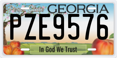 GA license plate PZE9576