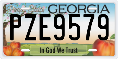 GA license plate PZE9579
