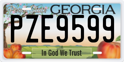 GA license plate PZE9599