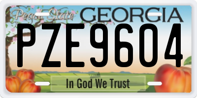GA license plate PZE9604