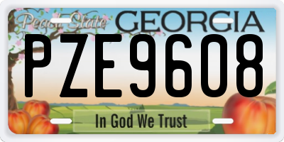 GA license plate PZE9608