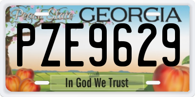 GA license plate PZE9629