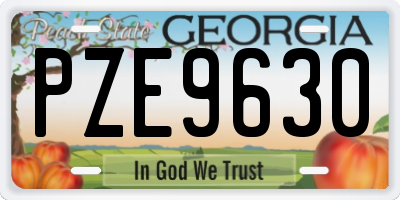 GA license plate PZE9630