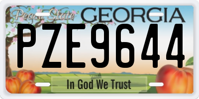 GA license plate PZE9644