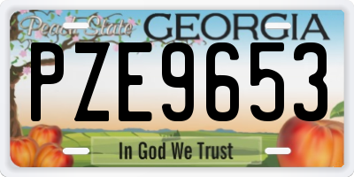 GA license plate PZE9653