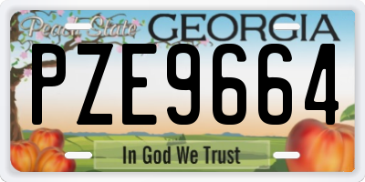 GA license plate PZE9664