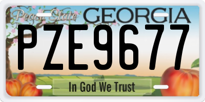 GA license plate PZE9677
