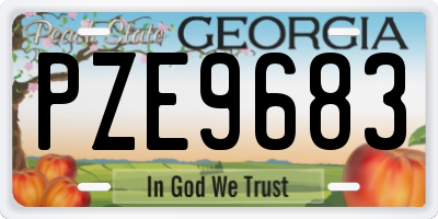 GA license plate PZE9683