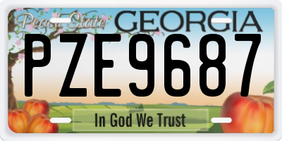 GA license plate PZE9687