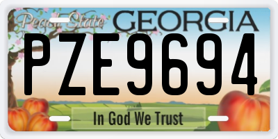 GA license plate PZE9694
