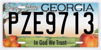 GA license plate PZE9713