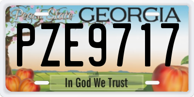 GA license plate PZE9717