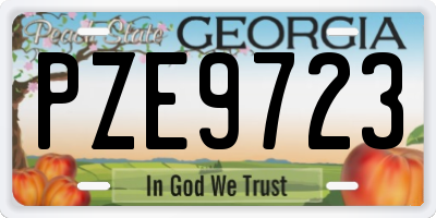 GA license plate PZE9723