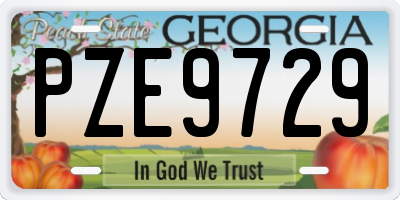 GA license plate PZE9729