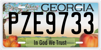 GA license plate PZE9733