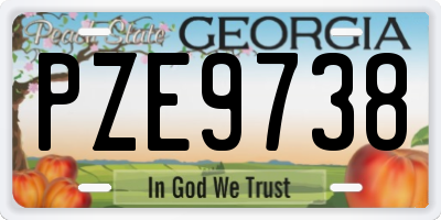 GA license plate PZE9738