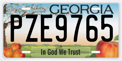 GA license plate PZE9765