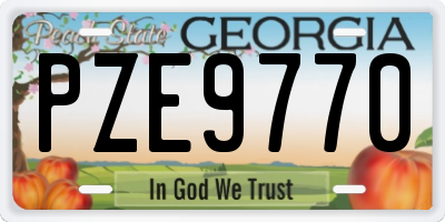 GA license plate PZE9770