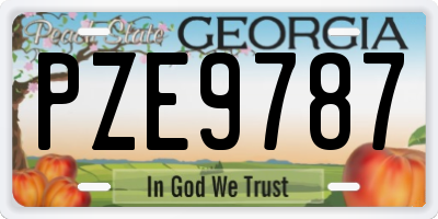 GA license plate PZE9787