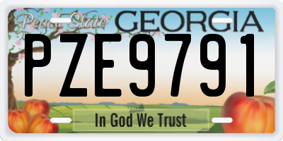 GA license plate PZE9791