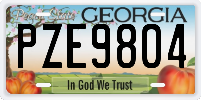 GA license plate PZE9804
