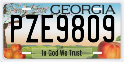 GA license plate PZE9809