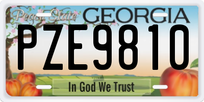 GA license plate PZE9810