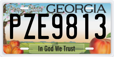 GA license plate PZE9813