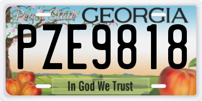 GA license plate PZE9818